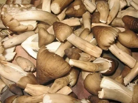 Ăn nấm nên chú ý điều này để tốt dáng, đẹp da