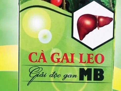 Cà gai leo giải độc gan MB vi phạm quy định về quảng cáo