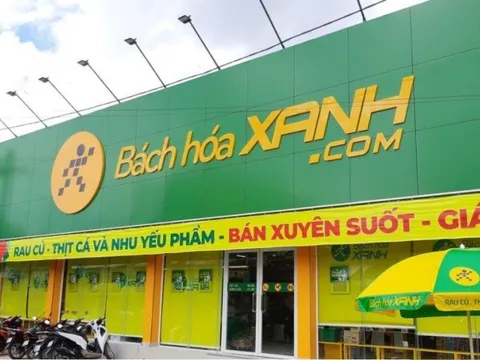 Đang “gánh” tổng lỗ luỹ kế 7.395 tỷ đồng cho chuỗi Bách Hoá Xanh, MWG vẫn tuyên bố sẽ hoà vốn vào cuối năm 2023, chưa có kế hoạch IPO trong năm nay