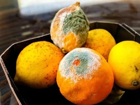 Loại trái cây 'hại gan' bậc nhất, chứa loại chất độc nằm trong "danh sách đen" của WHO: Cực độc nhưng nhiều người vẫn đang ăn mỗi ngày