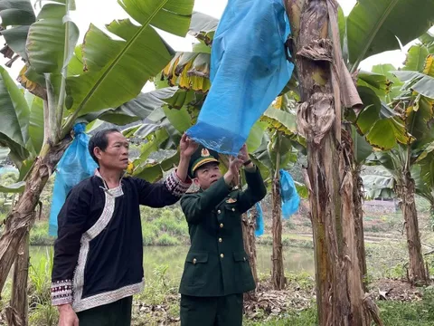 Kỳ 4: Biến đất lạ hóa quê hương