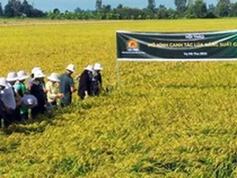 Lộc Trời (LTG) dự kiến chia cổ tức tỷ lệ 30% bằng tiền mặt cho năm 2023, lập quỹ riêng đề phòng mất khả năng thanh toán nợ đến hạn