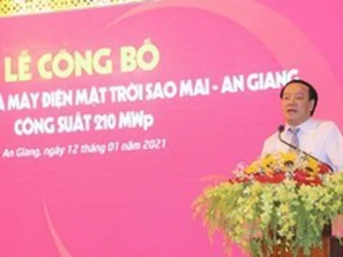 Trước thềm Đại hội 2023, Tập đoàn Sao Mai và công ty con IDI muốn “dàn xếp” lại thượng tầng