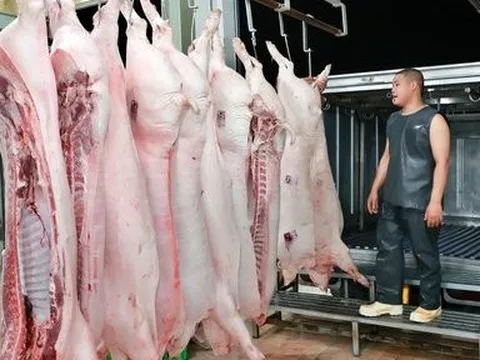 Tp.HCM: Quy hoạch nhà máy giết mổ, vì sao cứ loay hoay?