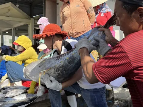 Khánh Hòa: 98,9% tàu cá dài 15 m trở lên lắp thiết bị giám sát hành trình