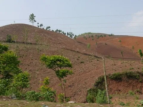 Còn gần 1,2 triệu ha đất chưa sử dụng trên cả nước