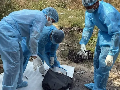 Đồng Nai: Thêm 2 trường hợp bị chó dại cắn, nguy cơ phát sinh bệnh dại