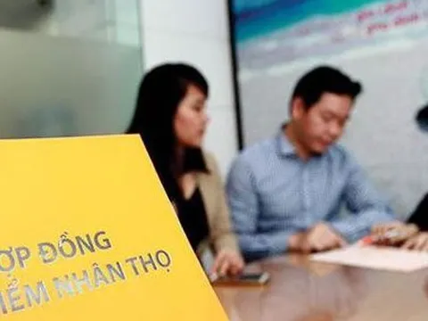 Những công việc ở Việt Nam có mức lương hơn 500 triệu đồng/tháng