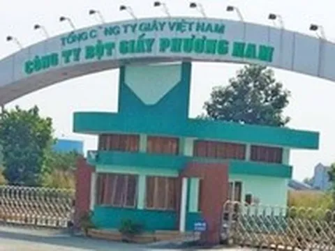 Vì sao dự án nhà máy giấy hơn 3.400 tỷ tại Long An 'chết yểu'?
