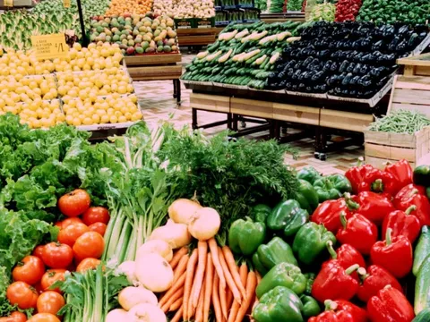 Hành động chuyển đổi hệ thống lương thực thực phẩm minh bạch, trách nhiệm và bền vững