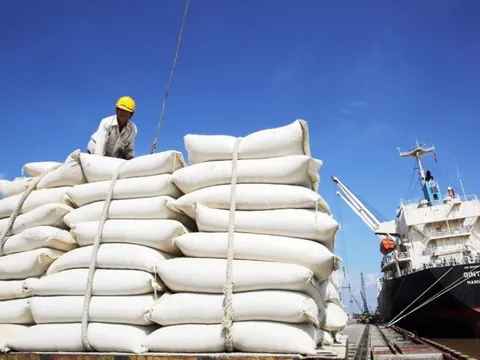 Nhu cầu thu mua một mặt hàng tại Indonesia tăng đột biến, đây là cơ hội tốt cho Việt Nam