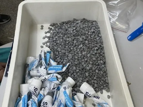 Giám đốc Công an Tp.HCM nói về vụ 4 tiếp viên hàng không mang ma túy