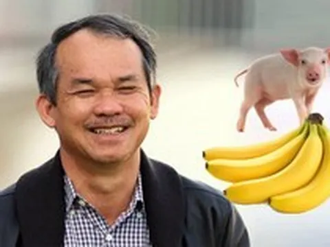 Hé lộ thu nhập của bầu Đức tại HAGL, bất ngờ với thù lao của "công thần" tạo ra công thức cho heo ăn chuối