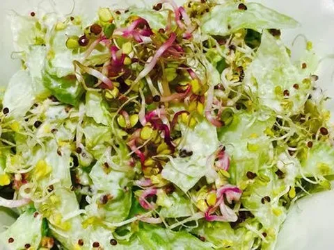 Loại rau nhỏ xíu là ‘kho’ dinh dưỡng, có tác dụng giảm đường huyết, bổ tim mạch nhưng ít người biết để dùng