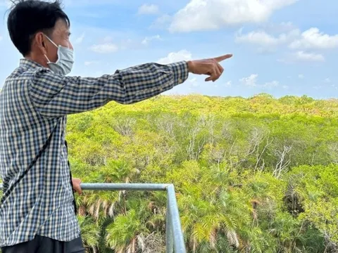 Phòng cháy rừng mùa khô tại vườn chim duy nhất trong thành phố ở ĐBSCL