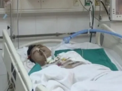 Người vợ trẻ tuyệt vọng nhìn chồng hôn mê, hai con bị gan bẩm sinh khó chữa