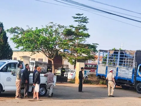 Khám xét 3 trung tâm đăng kiểm xe cơ giới tại tỉnh Lâm Đồng