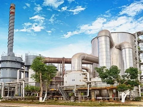 Một mặt hàng Trung Quốc nhập khẩu cực nhiều, Việt Nam có doanh nghiệp sản xuất hàng đầu châu Á