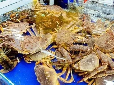 Chi tới 2,72 tỷ USD để nhập khẩu, người Việt ăn tôm hùm, cua, cá ngoại ngày càng nhiều