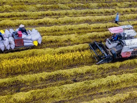 Tỉnh miền Tây chưa đầy 20 tuổi có tăng trưởng quý cao nhất cả nước