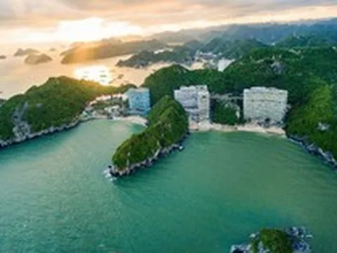 Chủ sở hữu Flamingo Cát Bà, Flamingo Đại Lải báo lợi nhuận 295 tỷ đồng năm 2022