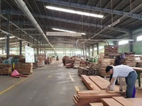 Gỗ Trường Thành - đổi tên có đổi vận?