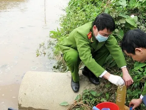 Mua tin trong xử phạt vi phạm hành chính tối đa 50 triệu đồng/vụ việc