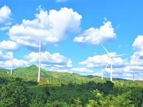 Một công ty điện gió xin phát điện với giá giảm 50%