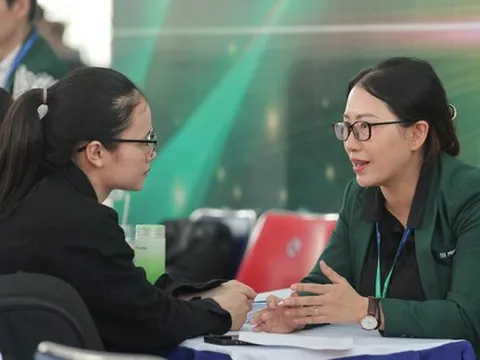 Phần lớn người lao động tìm việc hơn 20 triệu đồng/tháng