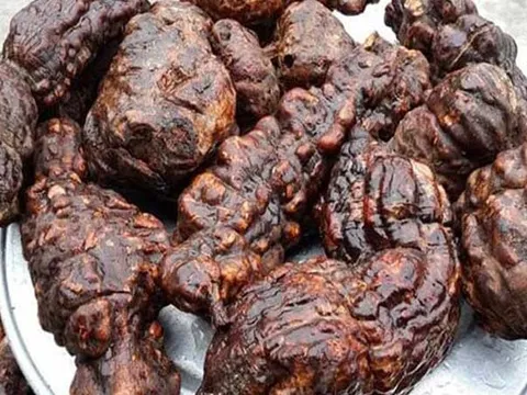 Loại củ được ví như 'thuốc tiên', là cứu tinh của gan thận, 'quét' sạch mỡ trong máu