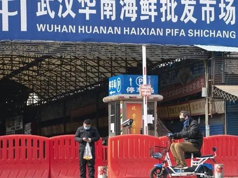 Nguồn gốc COVID-19: Trung Quốc công bố dữ liệu giật mình từ chợ Vũ Hán