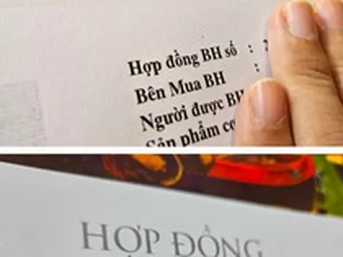 Công ty bảo hiểm nói gì về hợp đồng bảo hiểm ngày càng dài và khó hiểu?