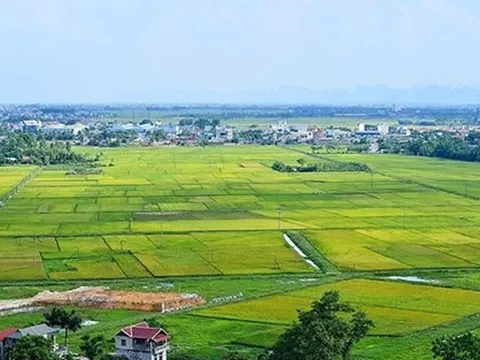 Chuyển mục đích sử dụng đất để thực hiện Dự án Cụm Công nghiệp Gia Thuận