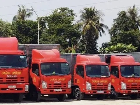 Tp.Đà Nẵng xử lý 37 trường hợp vận tải khách không đúng quy định