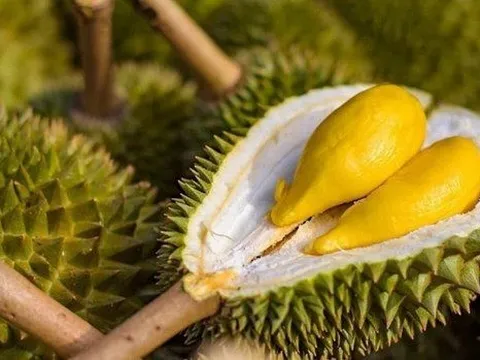 Xuất khẩu "trái cây vua" sang Trung Quốc tăng nóng gần 300% chỉ trong 2 tháng đầu năm, người Thái lo sợ mất ngôi 'quán quân' vào tay Việt Nam