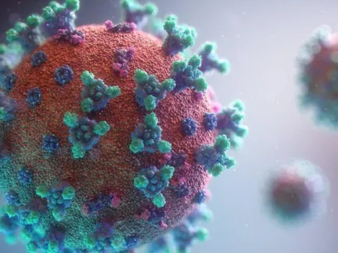 TP.HCM: Đã xuất hiện biến thể phụ XBB.1.5, ca mắc Covid-19 tăng nhẹ