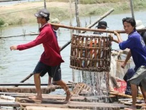 Vĩnh Hoàn (VHC) giảm 25% doanh thu trong tháng 3/2023, thị trường Mỹ giảm mạnh nhất