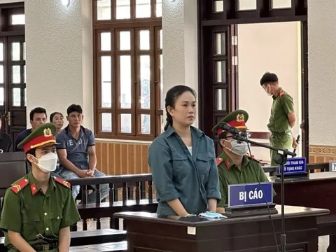 Bình Thuận: Lĩnh án tù vì mượn đất của dì ruột để lừa đảo