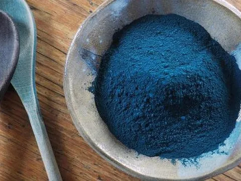 Nghiên cứu Brown-Harvard: Vị thuốc Đông y quen thuộc tạo đột phá trong điều trị ung thư