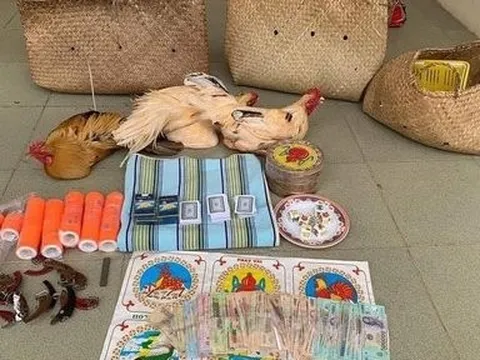 Đồng Nai: Khởi tố 14 bị can về hành vi đánh bạc