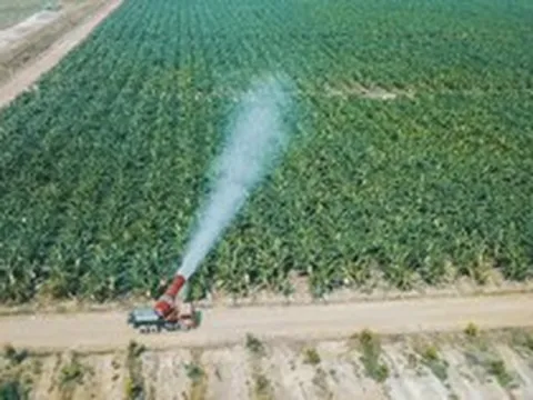 HAGL Agrico lý giải nguyên nhân lỗ gần 3.600 tỷ đồng năm 2022, đưa 5 chiến lược quan trọng để thoát lỗ
