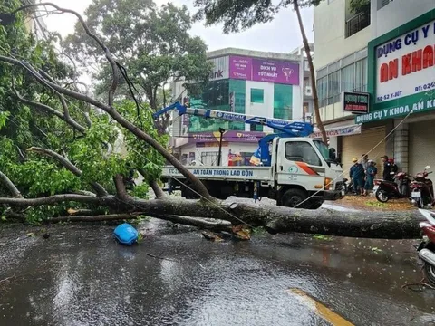 Clip cây xanh ngã đổ đè lên người phụ nữ đi xe máy