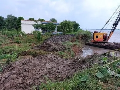 Vĩnh Long: Cồn Thanh Long bất ngờ sạt lở, ảnh hưởng tới hơn 17ha cây ăn trái