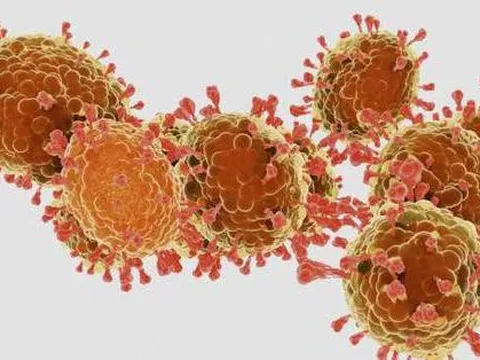 Ghi nhận ca tử vong đầu tiên do biến thể phụ “Arcturus” của SARS-CoV-2 tại Thái Lan