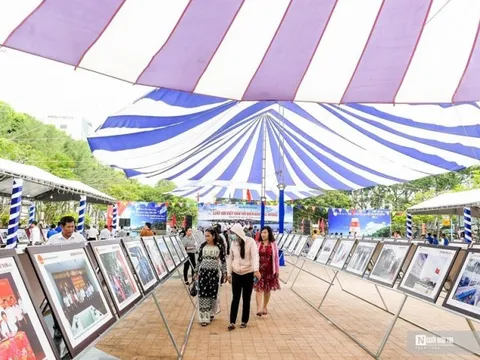 Ngắm nhìn các tác phẩm trưng bày Luật gia với biển đảo quê hương lần 4