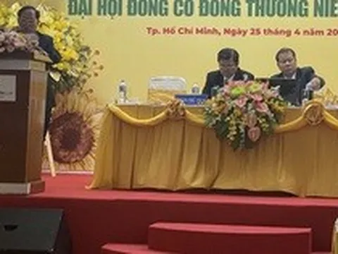 Lãnh đạo Vinasun nói không ngại cạnh tranh với taxi điện của tỉ phú Phạm Nhật Vượng