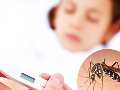 Nghiên cứu mới giúp phát hiện sớm ca bệnh sốt xuất huyết có nguy cơ tử vong