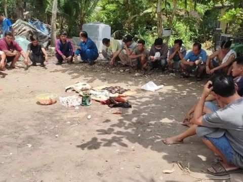 Vĩnh Long: Triệt xóa điểm đá gà, bắt 19 đối tượng