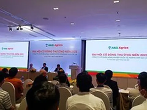 Cổ đông HAGL Agrico hỏi có đang bị Thaco “rút ruột” không, bầu Đức nói: “HNG làm gì có ruột mà rút, chỉ còn xương thôi”