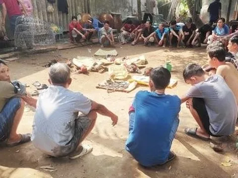Vĩnh Long: Triệt xóa điểm đá gà liên tỉnh, bắt giữ 24 đối tượng